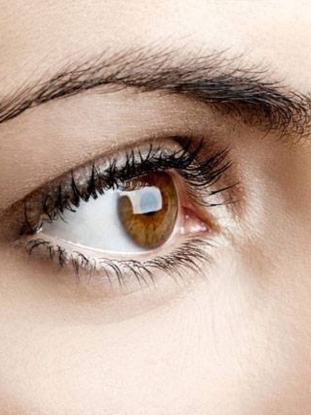 চোখ হঠাৎ ঝাপসা? এই ৭ খাবার ও অভ্যাসে ফিরে পান দৃষ্টিশক্তি