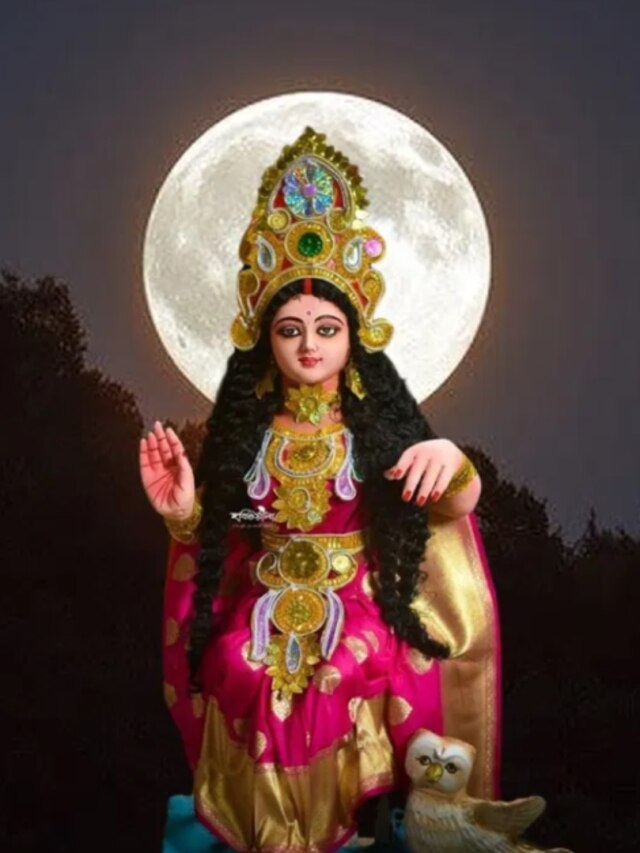 বাড়িতে এই জোড়া পাখি এলে লক্ষ্মীকৃপা, অর্থলাভ-দাম্পত্য সুখ