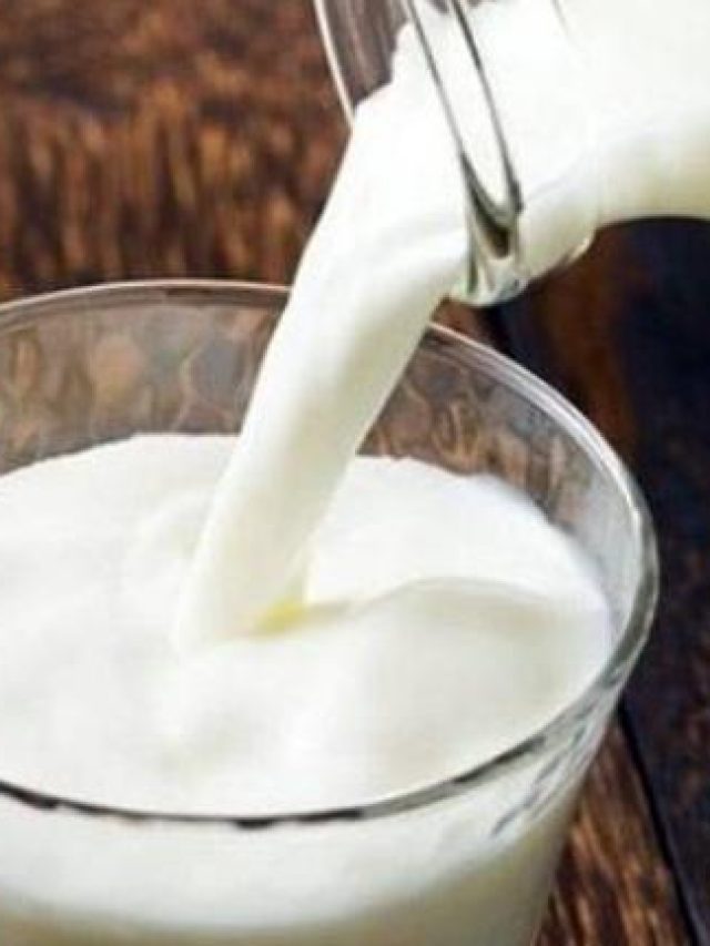 কোন প্রাণীর দুধে থাকে বেশি প্রোটিন?