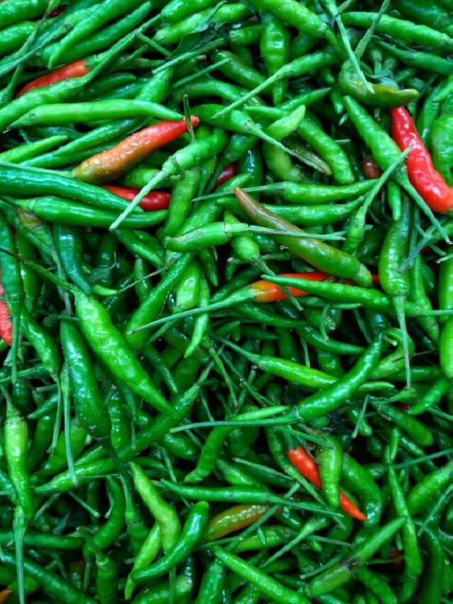 অত্যধিক লঙ্কা খান? হতে পারে মারাত্মক বিপদ!