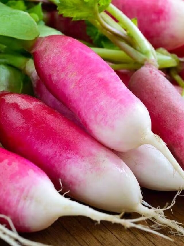 মুলো খেলে পাওয়া যায় এ সমস্ত উপকার, জানতেন?