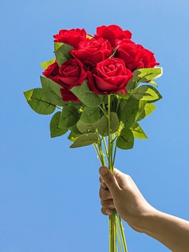 ফুলে ফুলে ভরে উঠবে গোলাপ গাছ, গোড়ায় দিন এই ৬ জিনিস