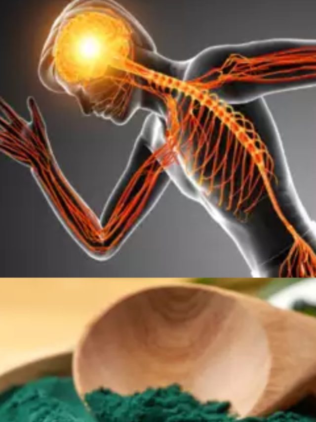 চিকেন-মাটনের চেয়ে বেশি প্রোটিন ৭ খাবারে, খেলে ব্রেন হবে কম্পিউটার