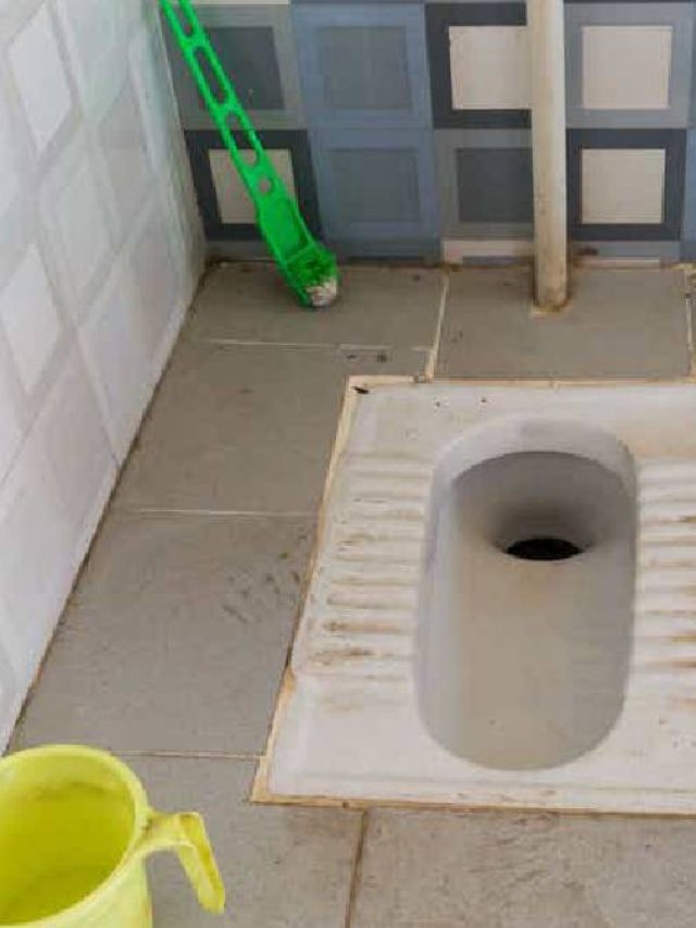 বাথরুমে দুর্গন্ধ? রান্নাঘরের এই জিনিসেই সুগন্ধ ছড়াবে টয়লেটে