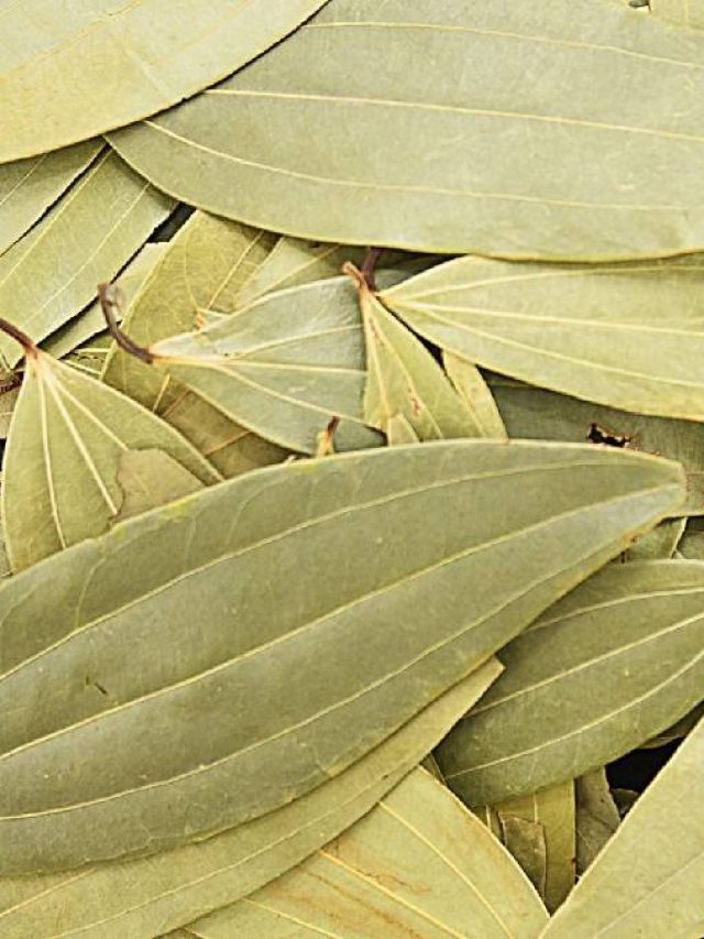 হতাশায় ভুগছেন? তবে রোজ খান এই পাতা, আনন্দে থাকবেন