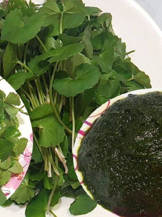 শরীর ও স্বাস্থ্য দুটোই বজায় থাকবে, গরম ভাতে খান থানকুনি পাতার ভর্তা