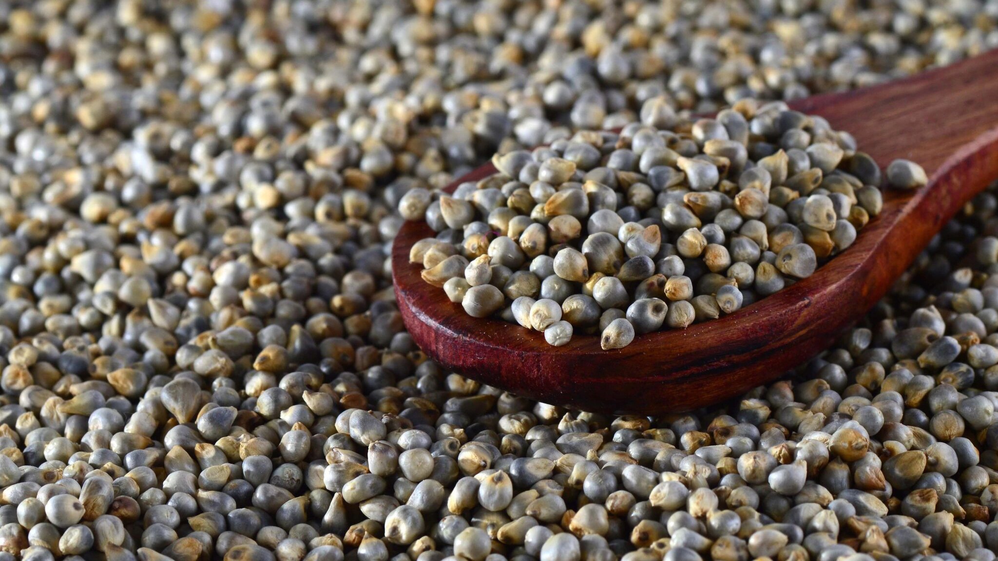 Benefits of millets for your skin