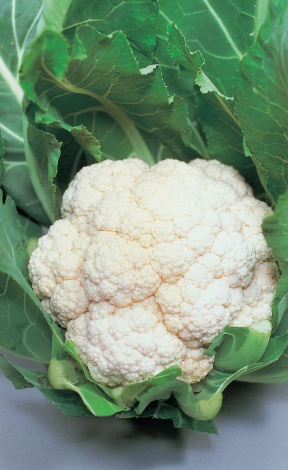 क्या फूलगोभी से बढ़ता है यूरिक एसिड? जानें सच्चाई Does cauliflower