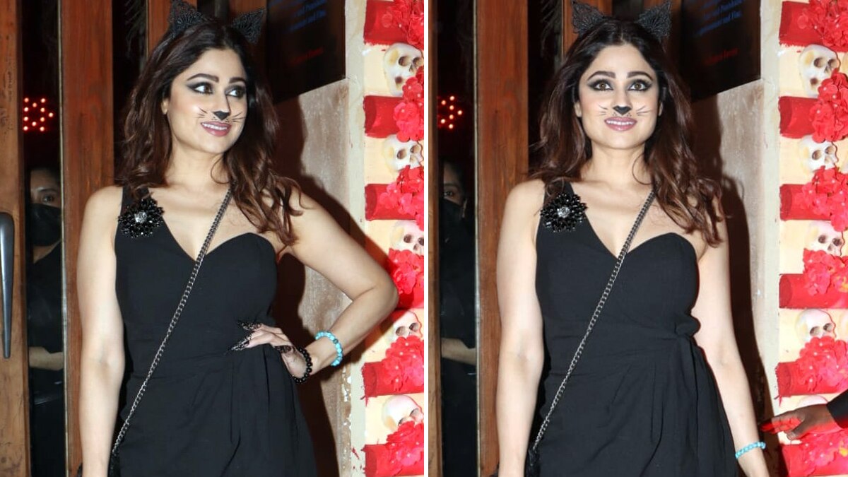 'दीदी की मूंछें निकल आईं', 'काली बिल्ली' बनीं 44 साल की शमिता, हो रहीं ट्रोल