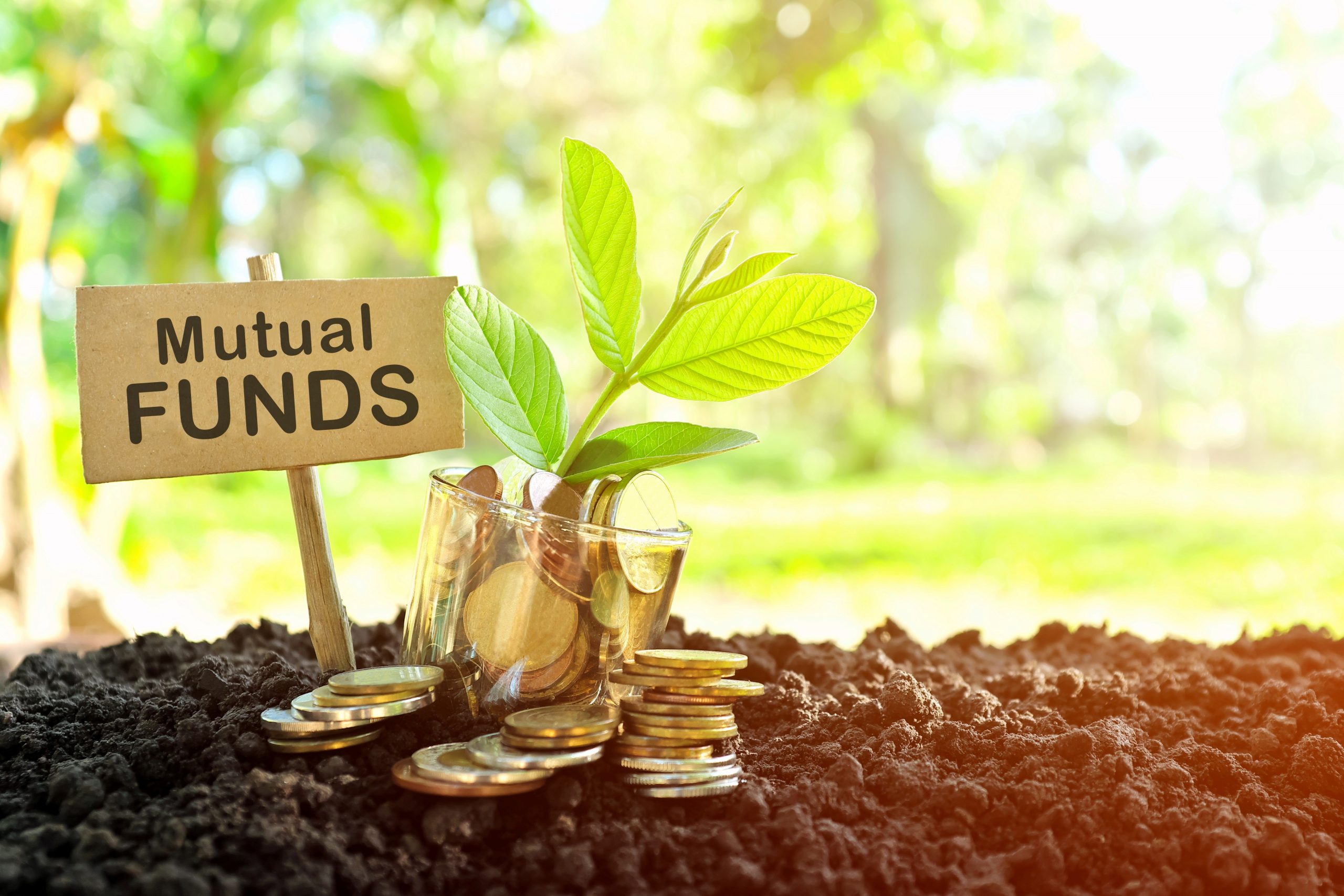 MF stake surged highest in these 10 stocks. Do you own any? 