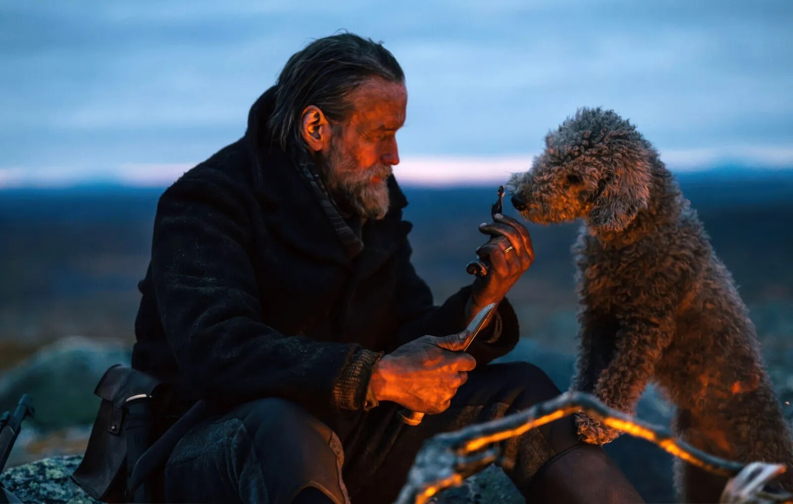 In the spotlight Movies on Amazon Prime Video