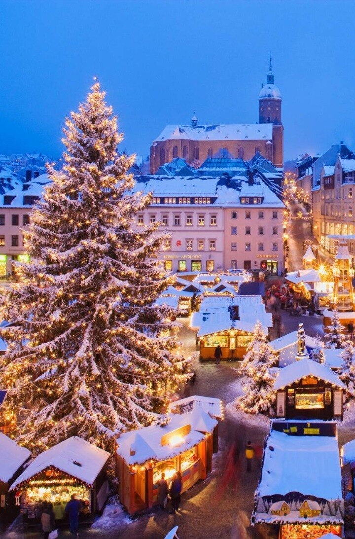 Best Cities to Visit During Christmas