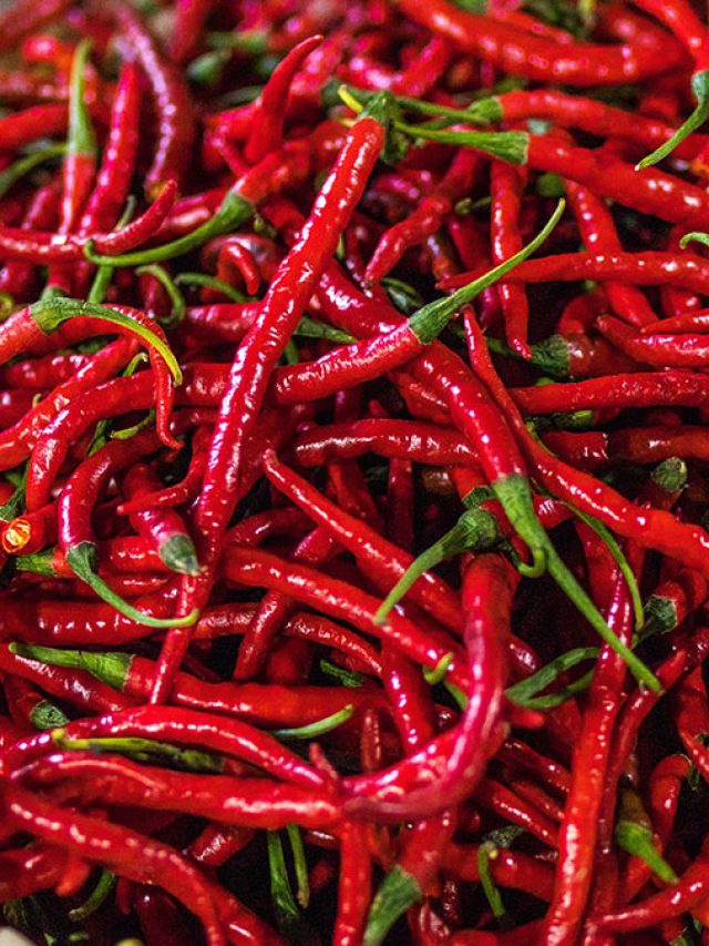 ঝাল পছন্দ বলে প্রচুর শুকনো লঙ্কা খান? জানুন কতটা ক্ষতি