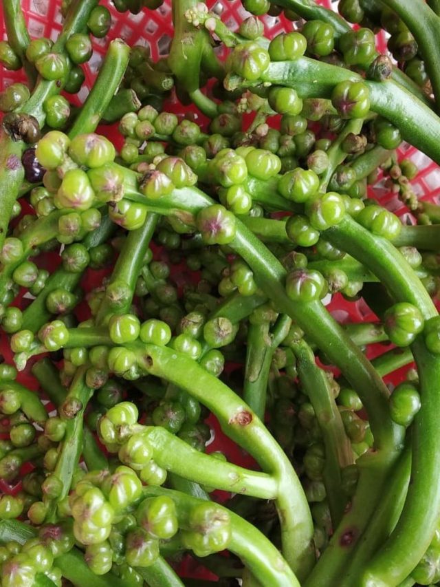 লাবড়া-শাক তো অনেক খেলেন, এবার বানান 'পুঁই ফুলের ভুনা'