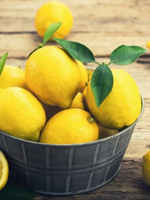 ৪০ ডিগ্রি গরমেও শুকোবে না পাতিলেবু, তাজা রাখার নিনজা টেকনিক