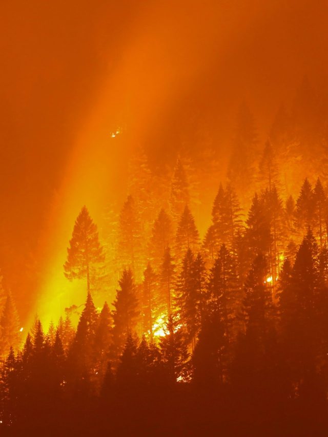 Climate crisis is costing countries $391 million a day: Here is what we know so far 