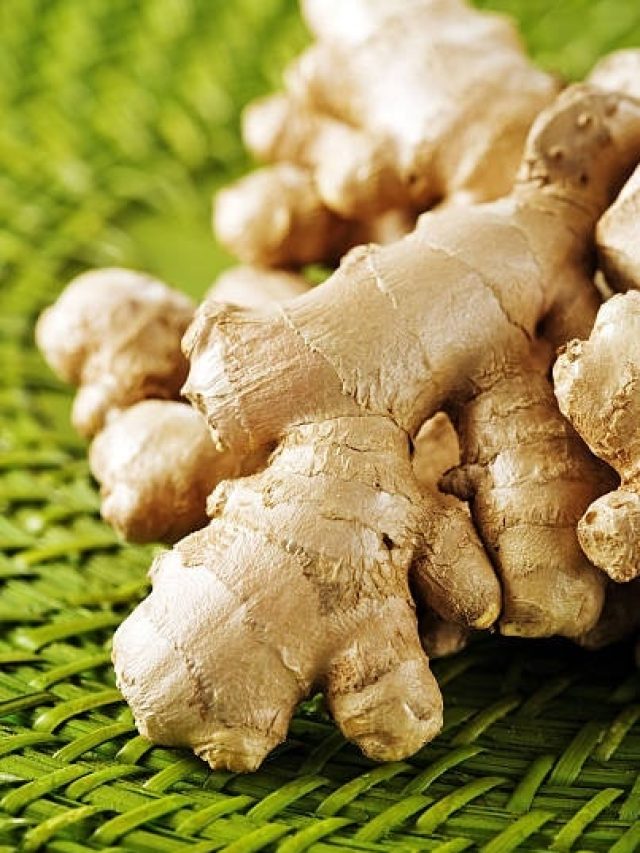 सूखी या ताजी अदरक? दोनों में से कौन है सबसे ज्यादा हेल्दी, यहां जानें