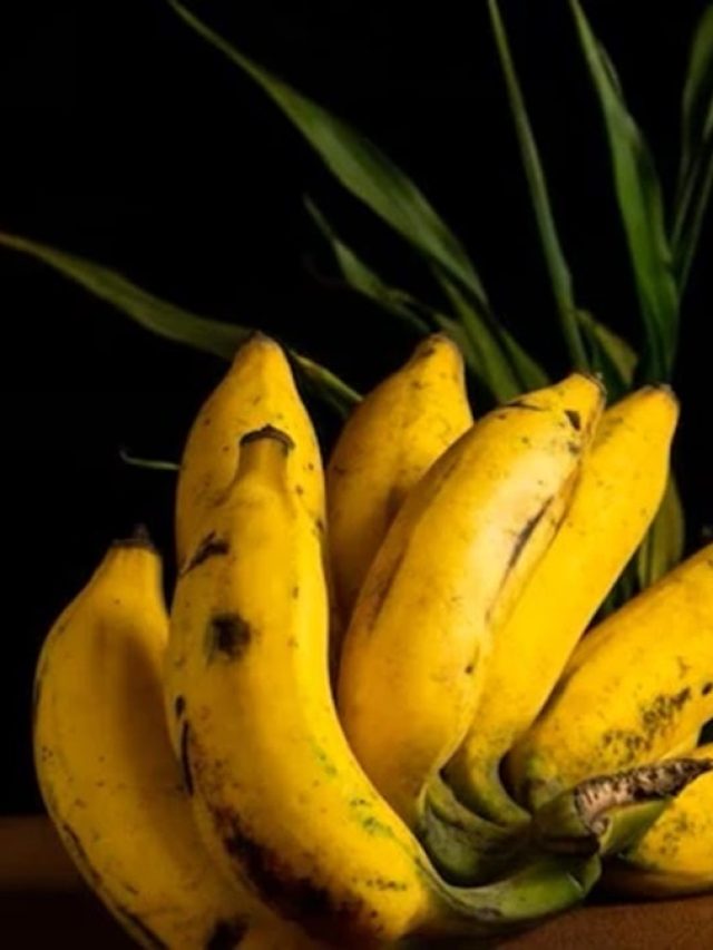 ঠিক এই কারণে বাড়িতে ঝুলিয়ে রাখতে হয় কলা, জেনে আপনিও করুন