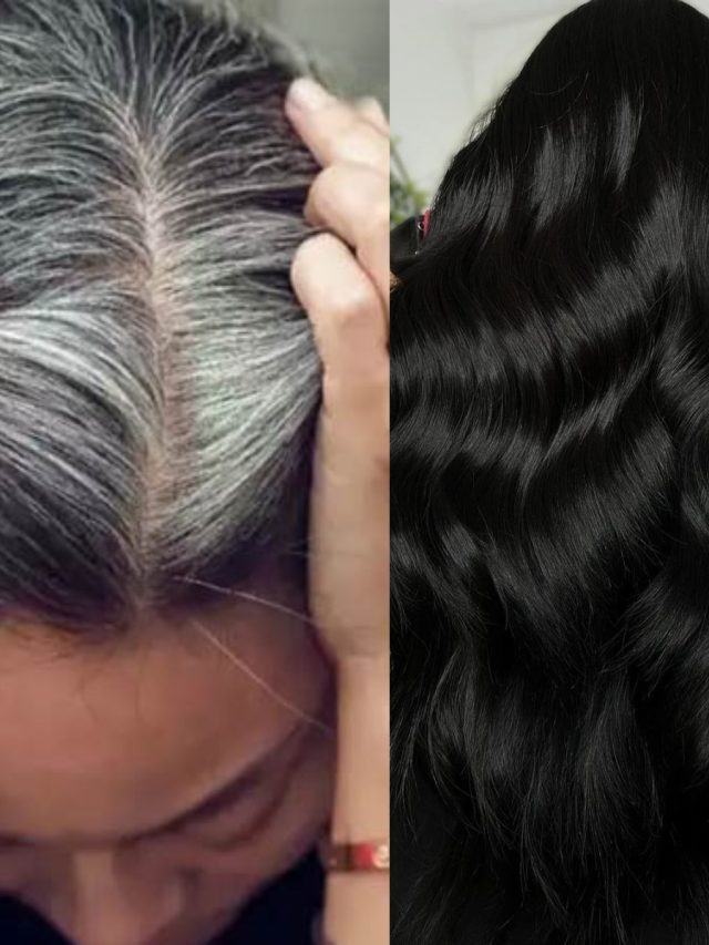 সাদা চুল  কালো হবে প্রাকৃতিক ভাবে, নাভিতে লাগান এই তেল