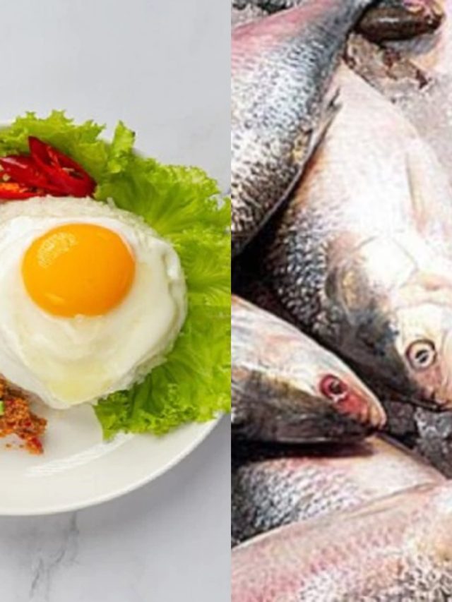 ডিম-মাছ একসঙ্গে খাওয়া ক্ষতিকর? জানুন