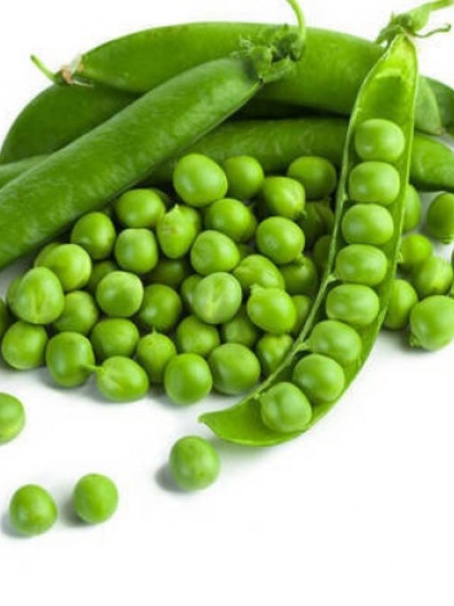 শীতে মটরশুঁটি খেলে মিলবে এসব আশ্বর্য উপকার, আপনি জানেন?