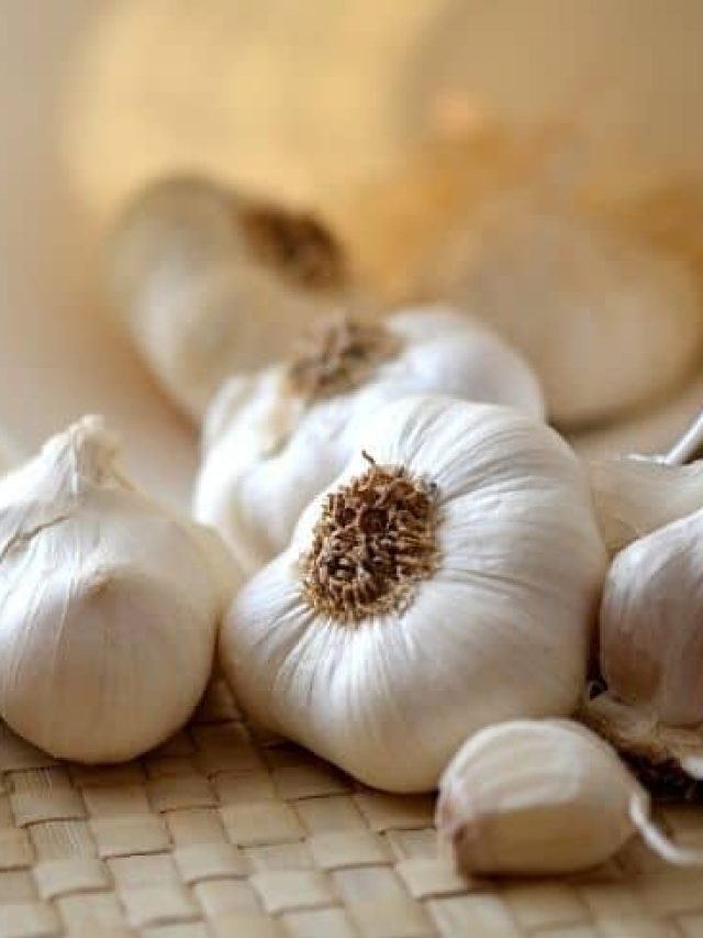 রোজ খালি পেটে এক কোয়া, দারুণ খেলা হবে