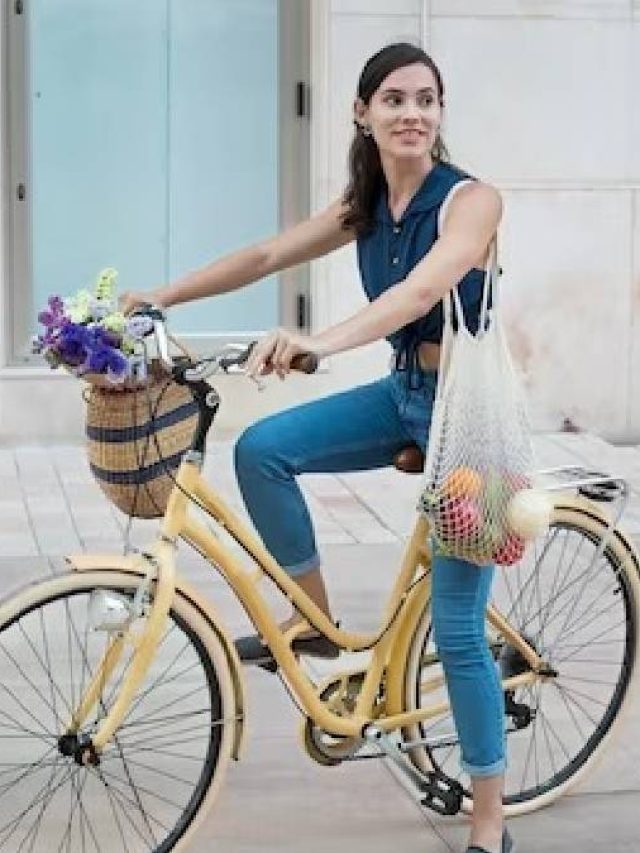 লেডিস সাইকেলে রড থাকে না কেন? কারণ জানলে মাথা ঘুরে যাবে