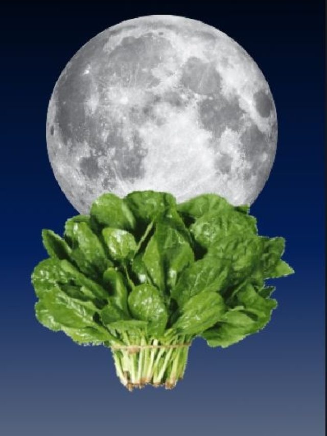 রাতে শাক খেলে কি সত্যিই পেট খারাপ হয়?