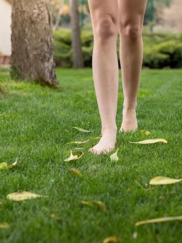 শীতের সকালে ঘাসের উপর খালি পায়ে হাঁটলে তাজ্জব ফায়দা, জানুন