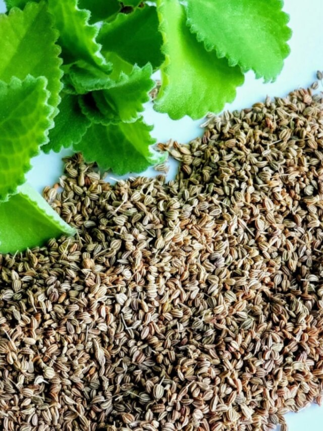 বাড়ির এই কোণে রাখুন জোয়ানের পুঁটলি, সুখ-সমৃদ্ধি কে আটকায়!