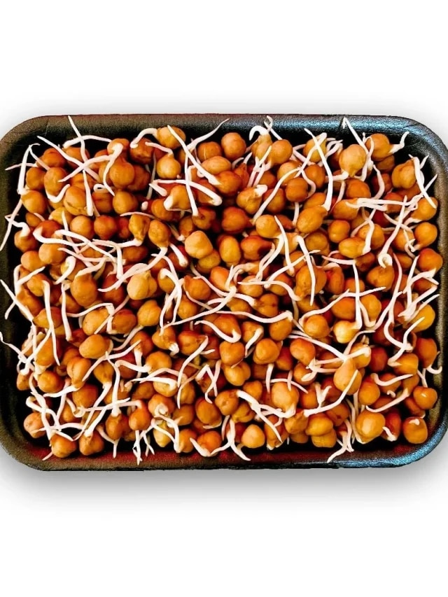 একরাত ভিজিয়েই ছোলায় কল বেরোবে, শুধু এই টেকনিকটা শিখে নিন