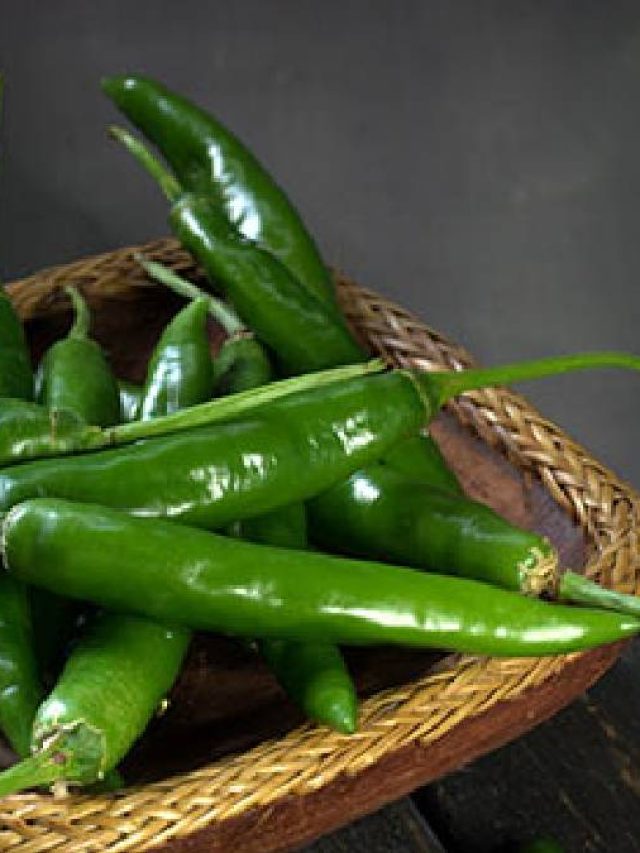 রোজই পাতে থাকছে কাঁচা লঙ্কা? শরীরের ক্ষতি করছেন নাতো