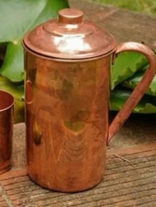 এই পাত্রে জল খেলেই ম্যাজিকের মতো উধাও হবে রোগ