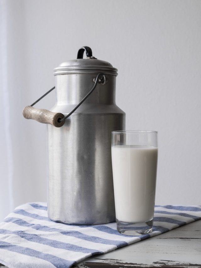 গরুর দুধ Vs মোষের দুধ, বিশেষজ্ঞদের মতে কোনটি বেশি স্বাস্থ্যকর?