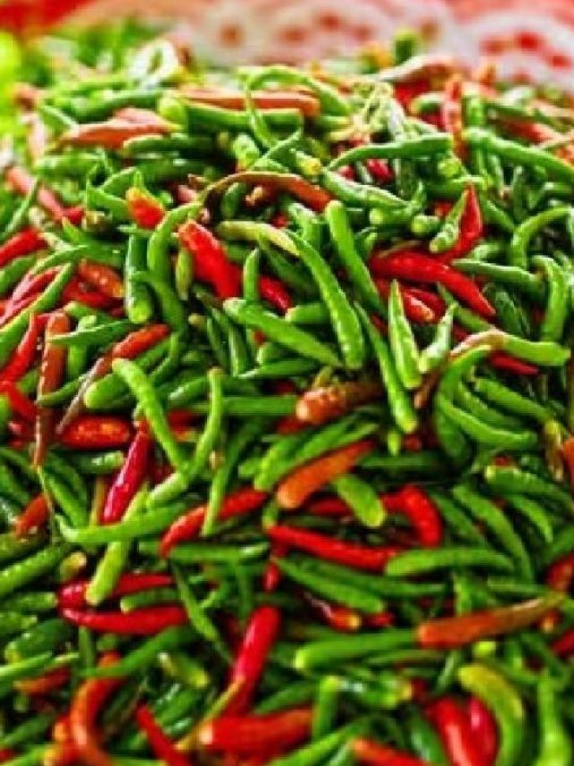 শীতকালে ফ্রিতে পেয়েছেন প্রচুর কাঁচালঙ্কা? এভাবে রাখলে তাজা থাকবে বহুদিন