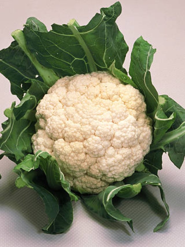 প্রতিদিন ফুলকপি খাওয়া কি ঠিক? যা জানতেই হবে