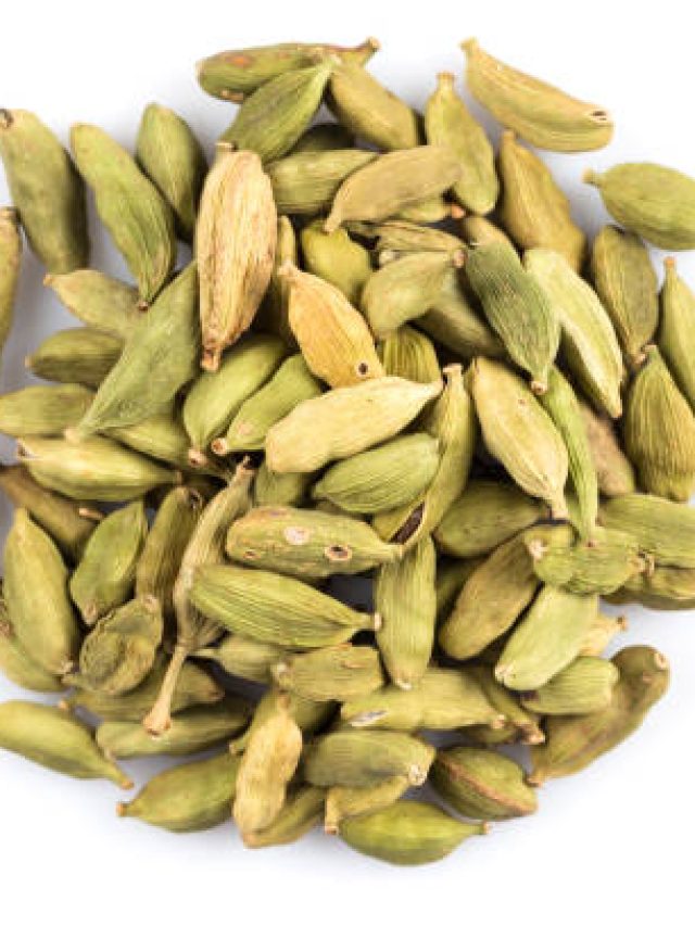 এলাচ হবে বারান্দা বা ছাদেই, কেনার দরকারই নেই