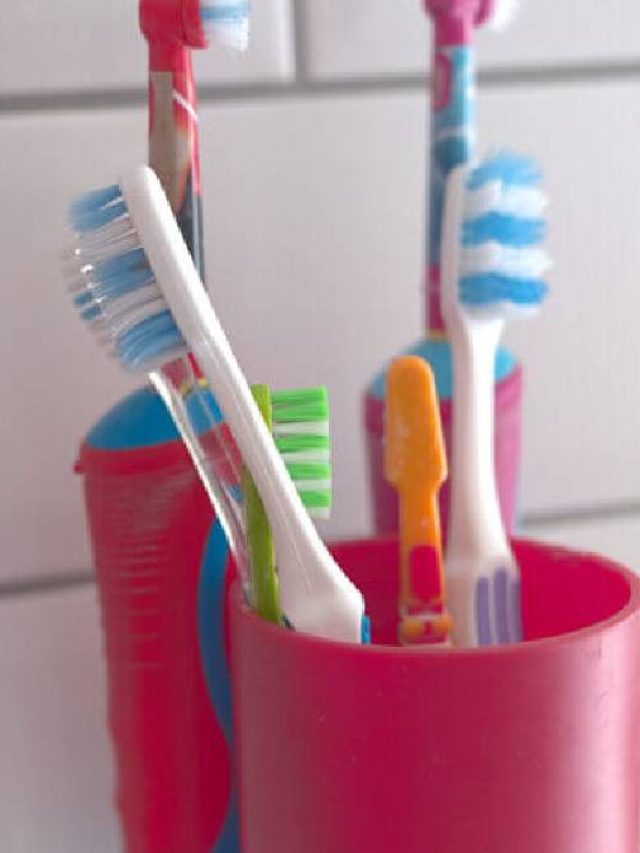 ঠিক কতদিন ব্রাশ ব্যবহার করা উচিত? সত্যিটা জানলে এখনই সাবধান হবেন