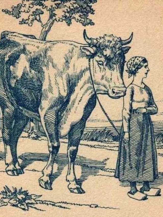 এই ছবিতেই লুকিয়ে মহিলার স্বামী, ৬ সেকেন্ডে খুঁজে দেখান তো!