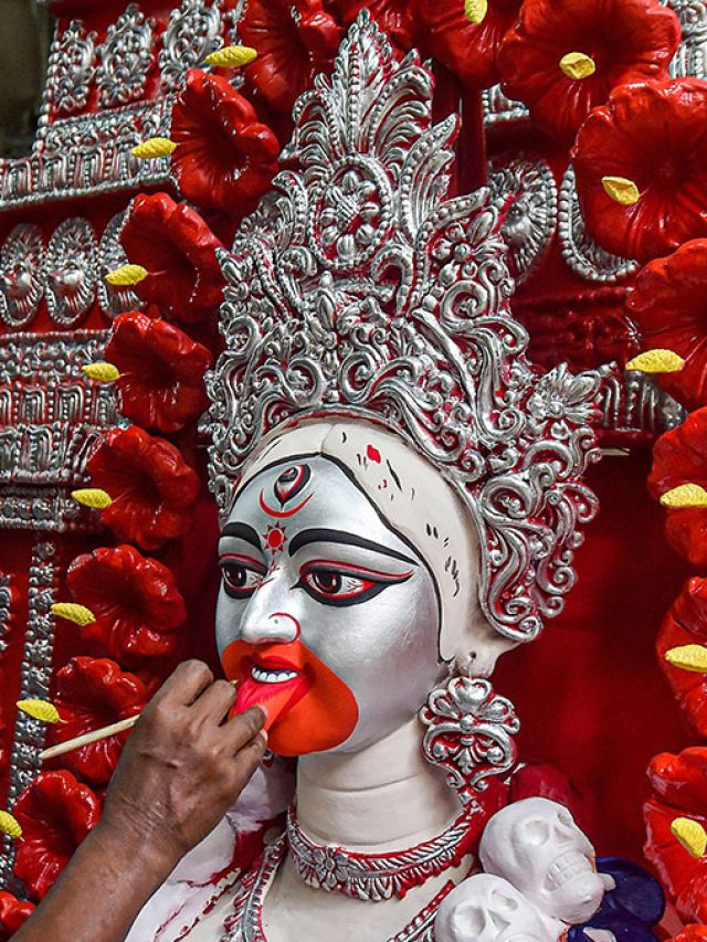 মা কালীর প্রিয় এই ফুল মেখেই পাবেন জেল্লাদার ত্বক ও চুল