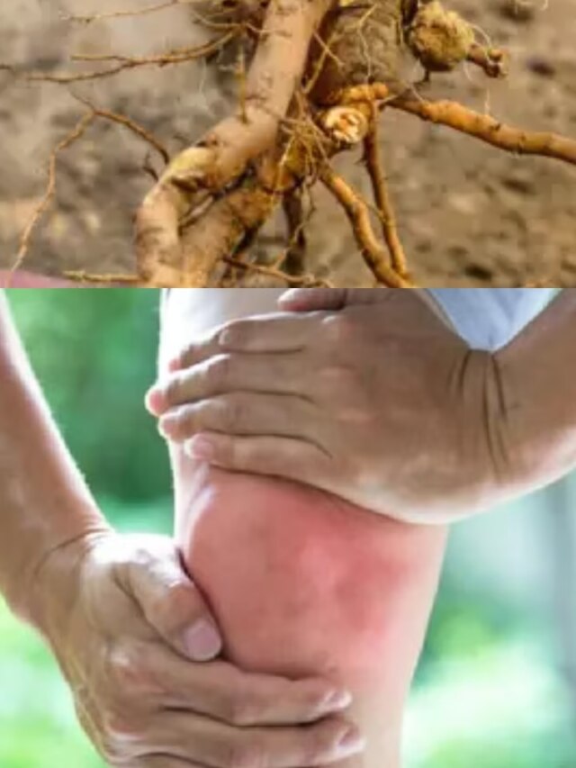 শীতে বাড়ে হাঁটুর ব্যথা? এই ৫ জড়িবুটিতেই মুক্তি, নো সাইডএফেক্ট