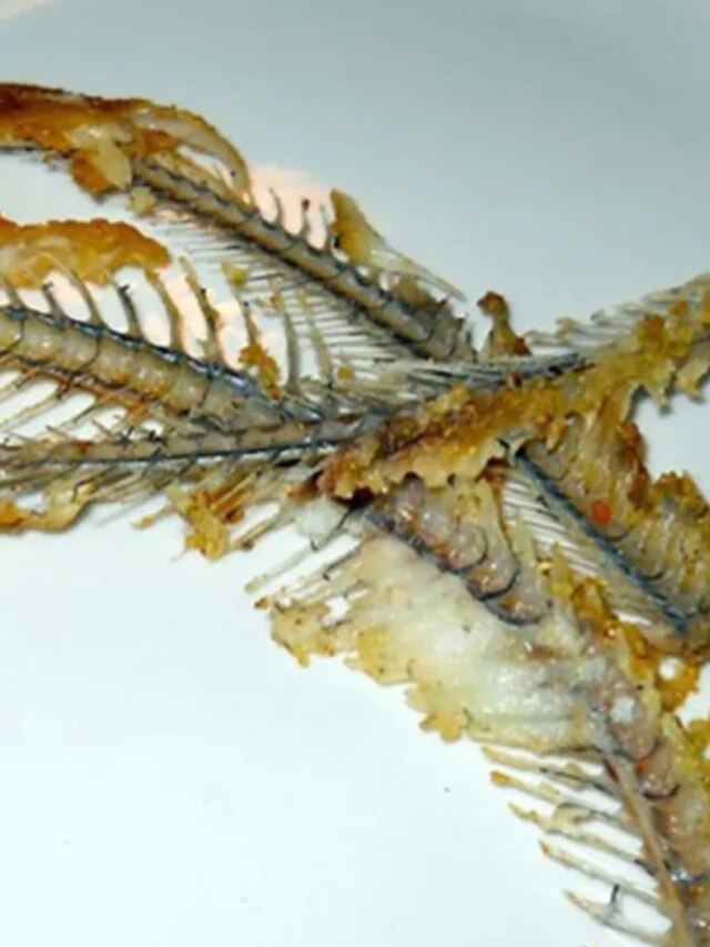 গলায় মাছের কাঁটা? এই ৫ টোটকায় নেমে যাবে এক সেকেন্ডে