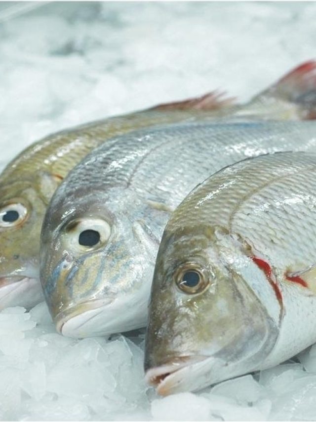 ফ্রিজে রাখা মাছ-মাংস কতদিন পর্যন্ত খাওয়া যেতে পারে?