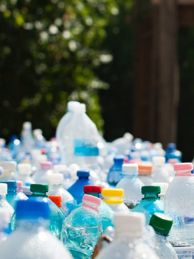 বোতলের মুখের লাল-নীল-গোলাপি রঙে কোন ইঙ্গিত? উত্তর চমকে দেবে