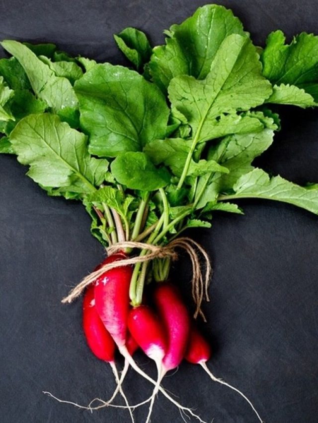 মুলোর শাক ফেলে দেন? জানুন কত বড় ভুল করছেন