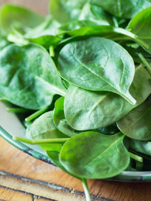 শীতকালের সেরা সবজি পালং, এই উপায় মানলে তাজা থাকবে বহুদিন