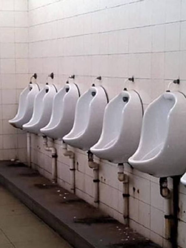 পাবলিক টয়লেট ব্যবহার করেন? সাবধান হোন এখনই, মানুন এই টিপস