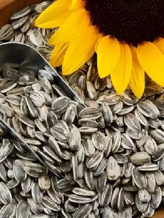 ঘাম ঝরাতে হয় না, দ্রুত রোগা বানায় ৫ বীজ, কীভাবে খাবেন?