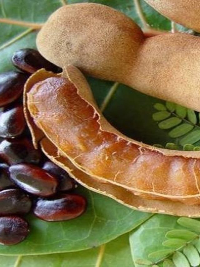 বাপ বাপ বলে পালাবে কোলস্টেরল! এক টুকরো তেঁতুলেই কেল্লাফতে