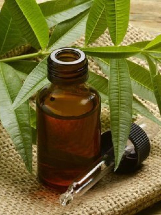 জাস্ট ২ ফোঁটা তেলের কামাল, এই গুঁড়ো মিশিয়ে পান মিশমিশে কালো চুল